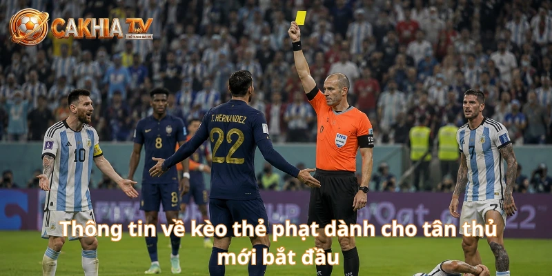 Thông tin về kèo thẻ phạt dành cho tân thủ mới bắt đầu